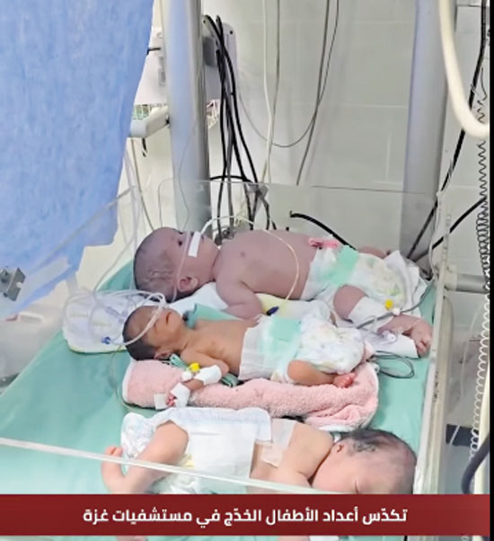 تكدس-الأطفال-خدج--بفلسطين