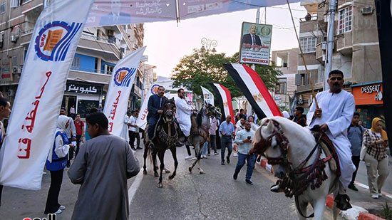 الخيل-بشوارع-قنا