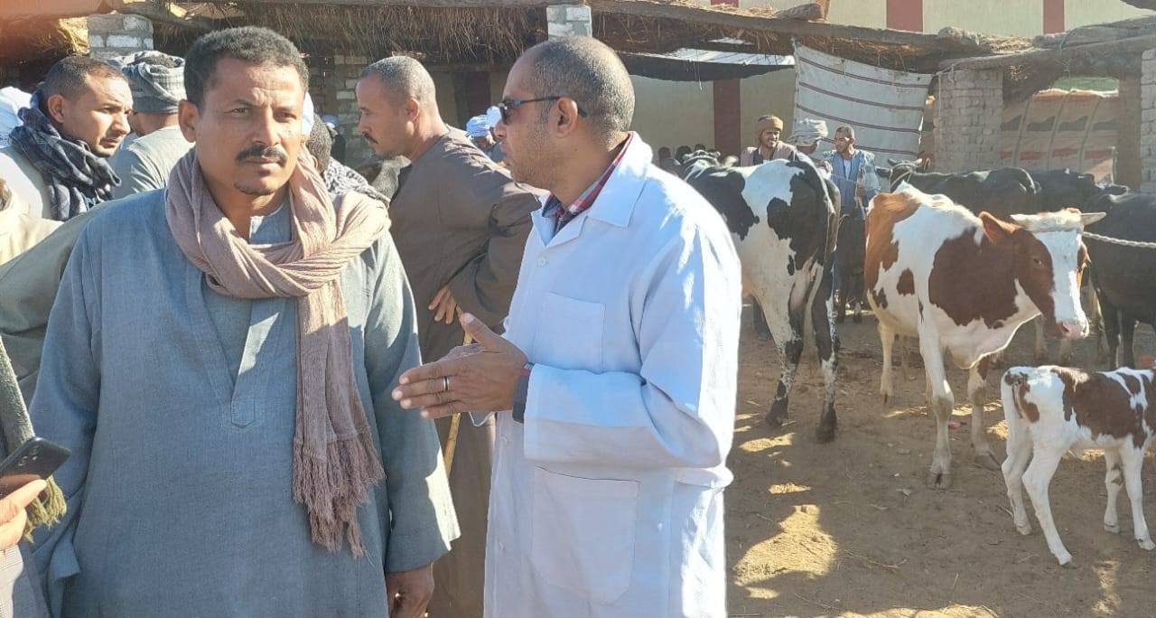 تحصينات للماشية وتوعية لأصحابها في الأسواق ضد الأمراض الوبائية بالأقصر