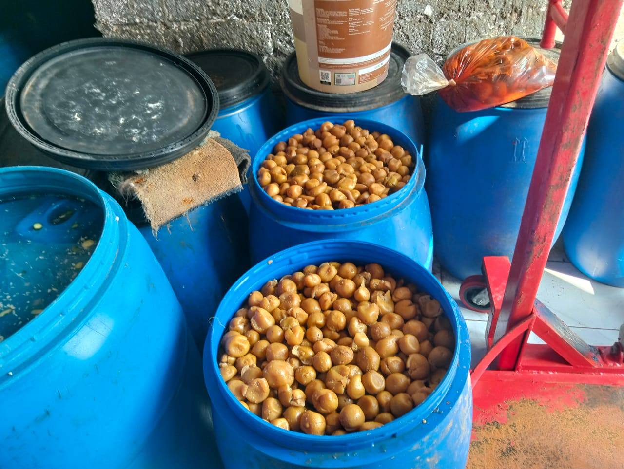 ضبط مخللات غير صالحه