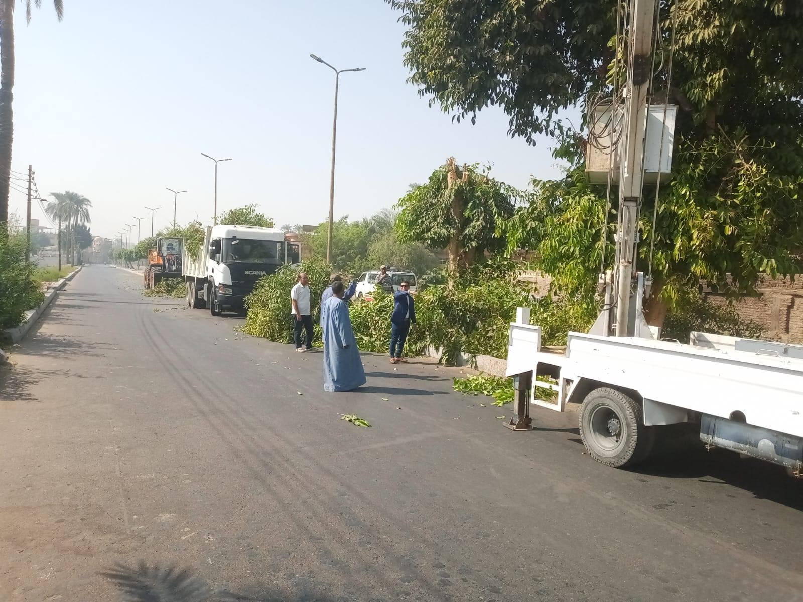 تجميل وقص للأشجار على المسار السياحي وشوارع مدينة البياضية