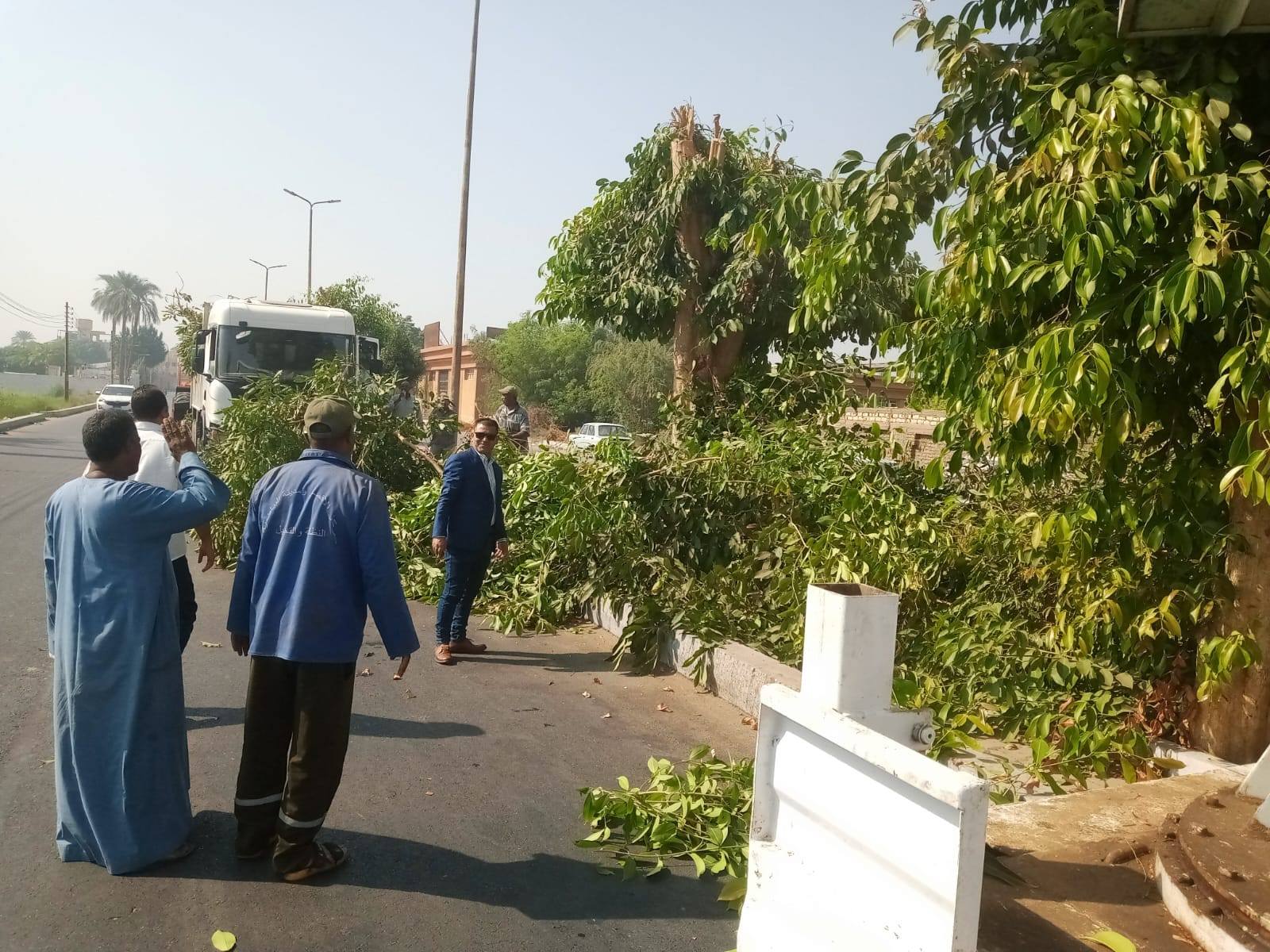 حملة تجميل وقص للأشجار على المسار السياحي وشوارع مدينة البياضية