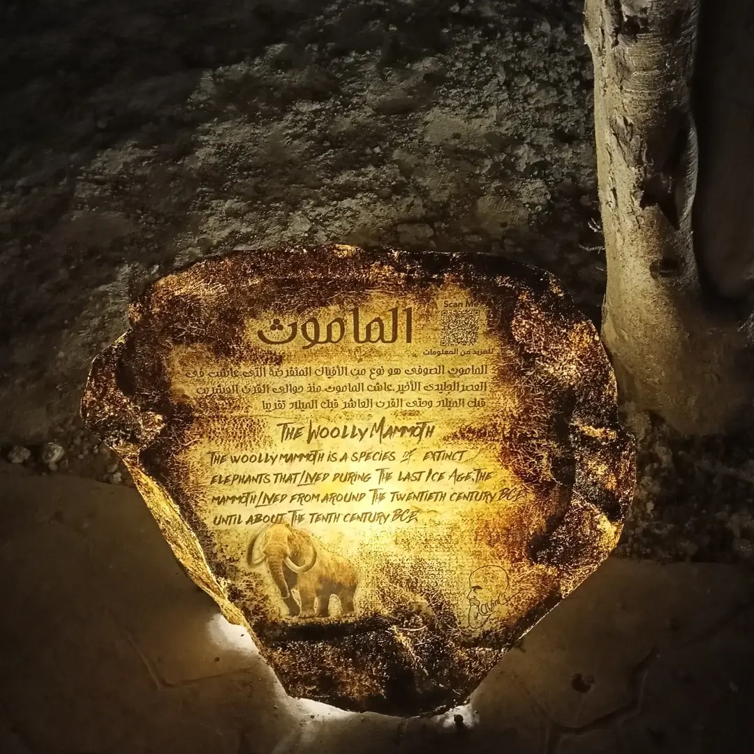 الشرح التفصيلى الشرح التفصيلى