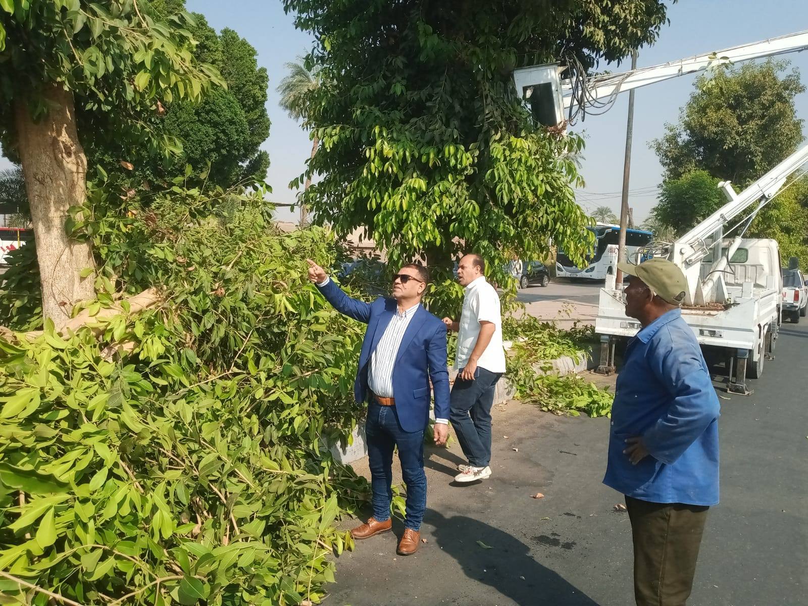 حملات تجميل وقص للأشجار على المسار السياحي وشوارع مدينة البياضية