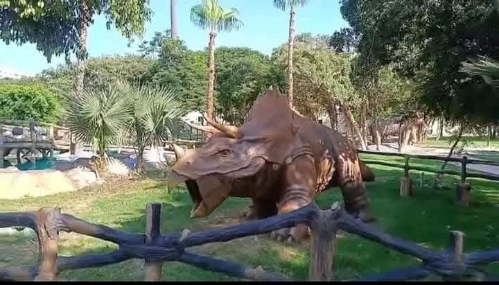 مجسمات الديناصورات (5)