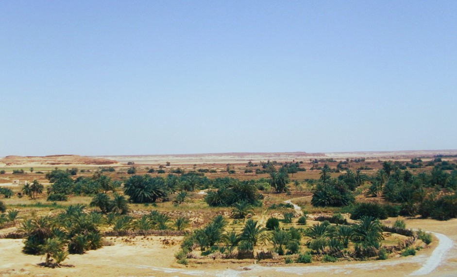 الواحة المعزولة في الصحراء الغربية