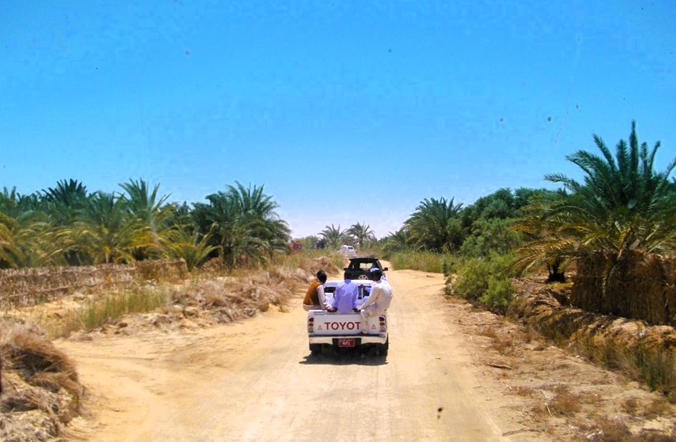 مدخل واحة قارة ام الصغير