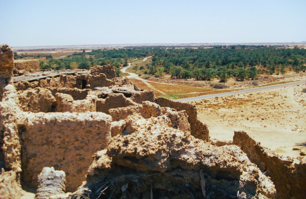 قارة أم الصغير أصغر واحة مصرية معزولة في الصحراء (1)