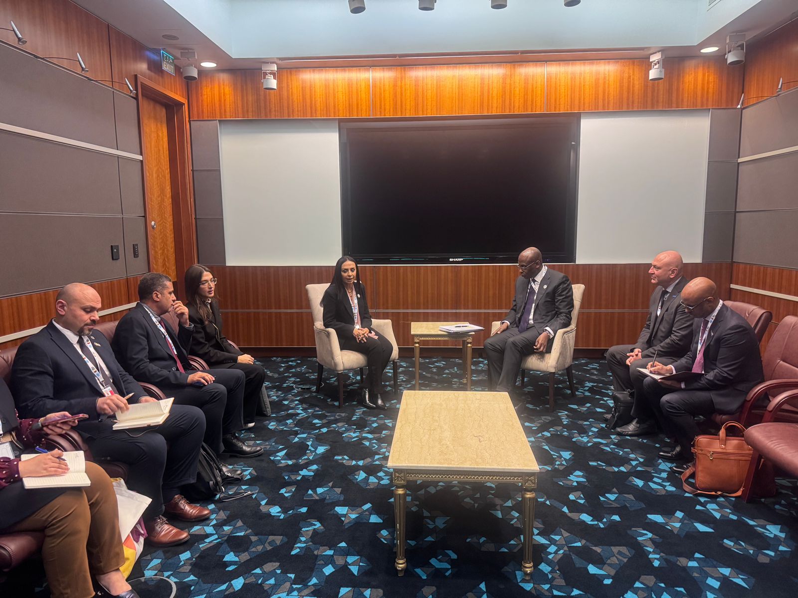 الدكتورة مايا مرسي وزيرة التضامن والمفوض السامي للاجئين لشؤون العمليات بالأمم المتحدة الدكتورة مايا مرسي وزيرة التضامن والمفوض السامي للاجئين لشؤون العمليات بالأمم المتحدة