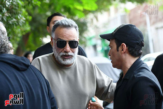 صفي الدين محمود