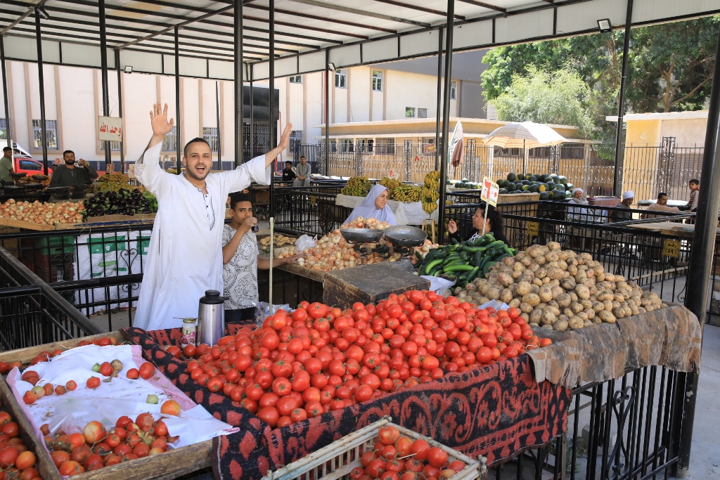 سوق سوهاج الحضرى الجديد  (5)