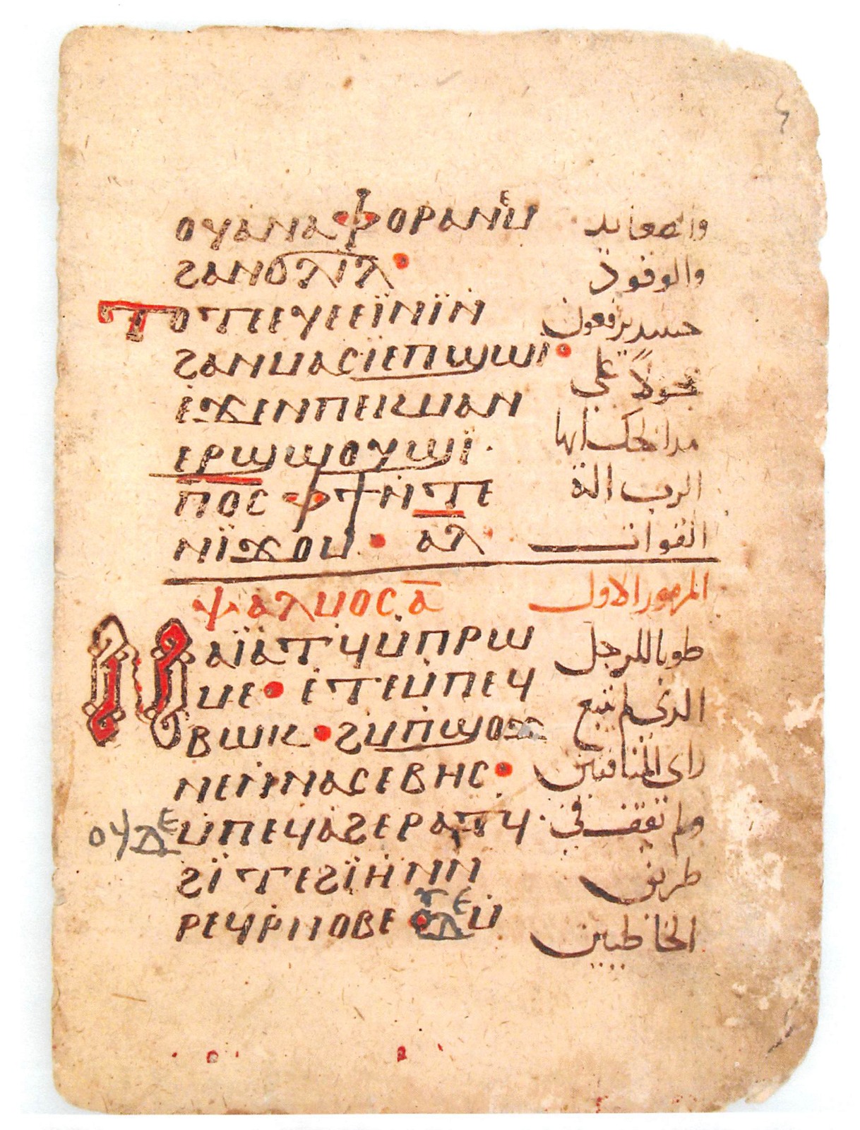 WhatsApp Image 2025-11-06 at 2.05.06 PM (2)