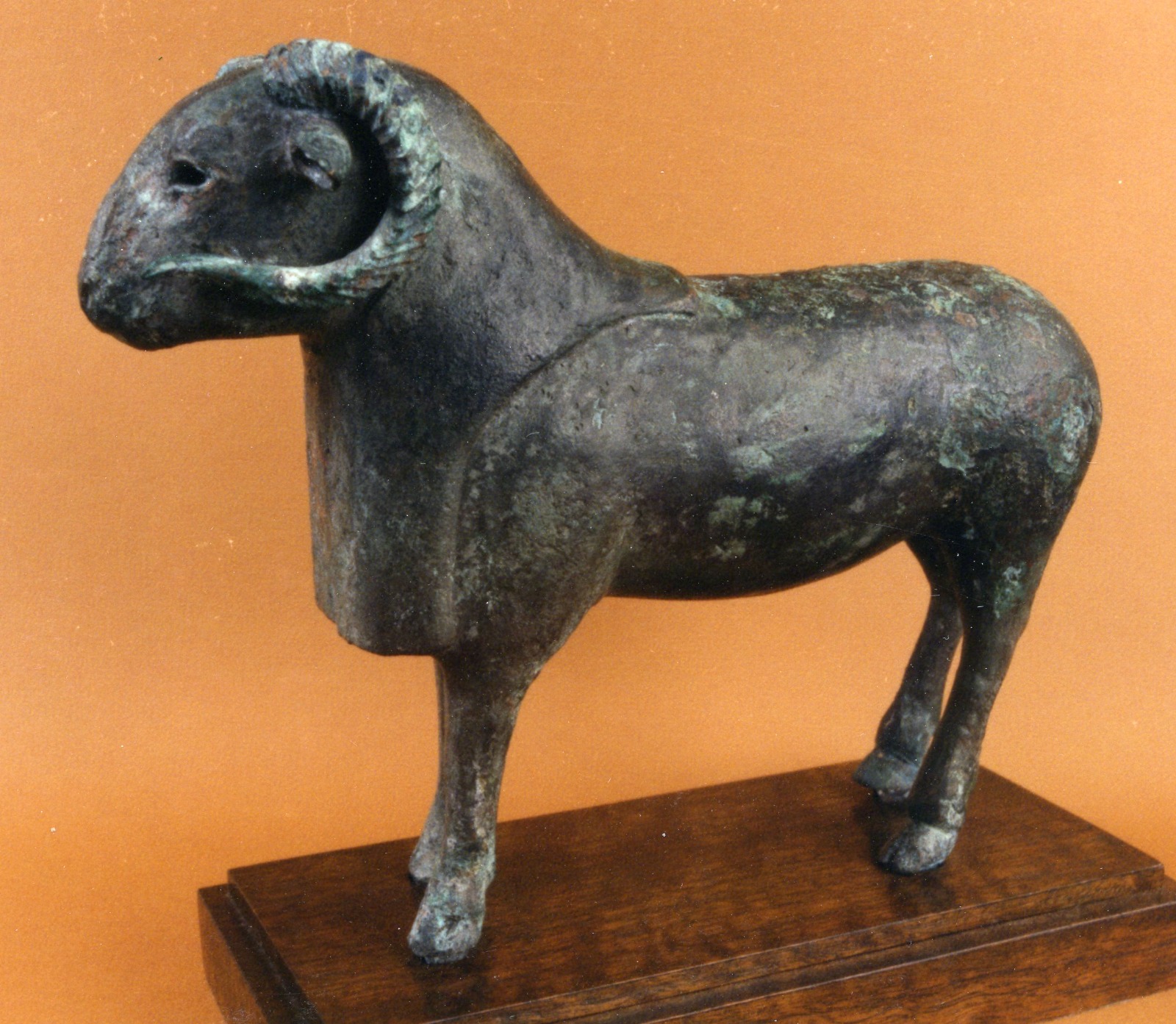 WhatsApp Image 2025-11-06 at 2.05.01 PM (1)