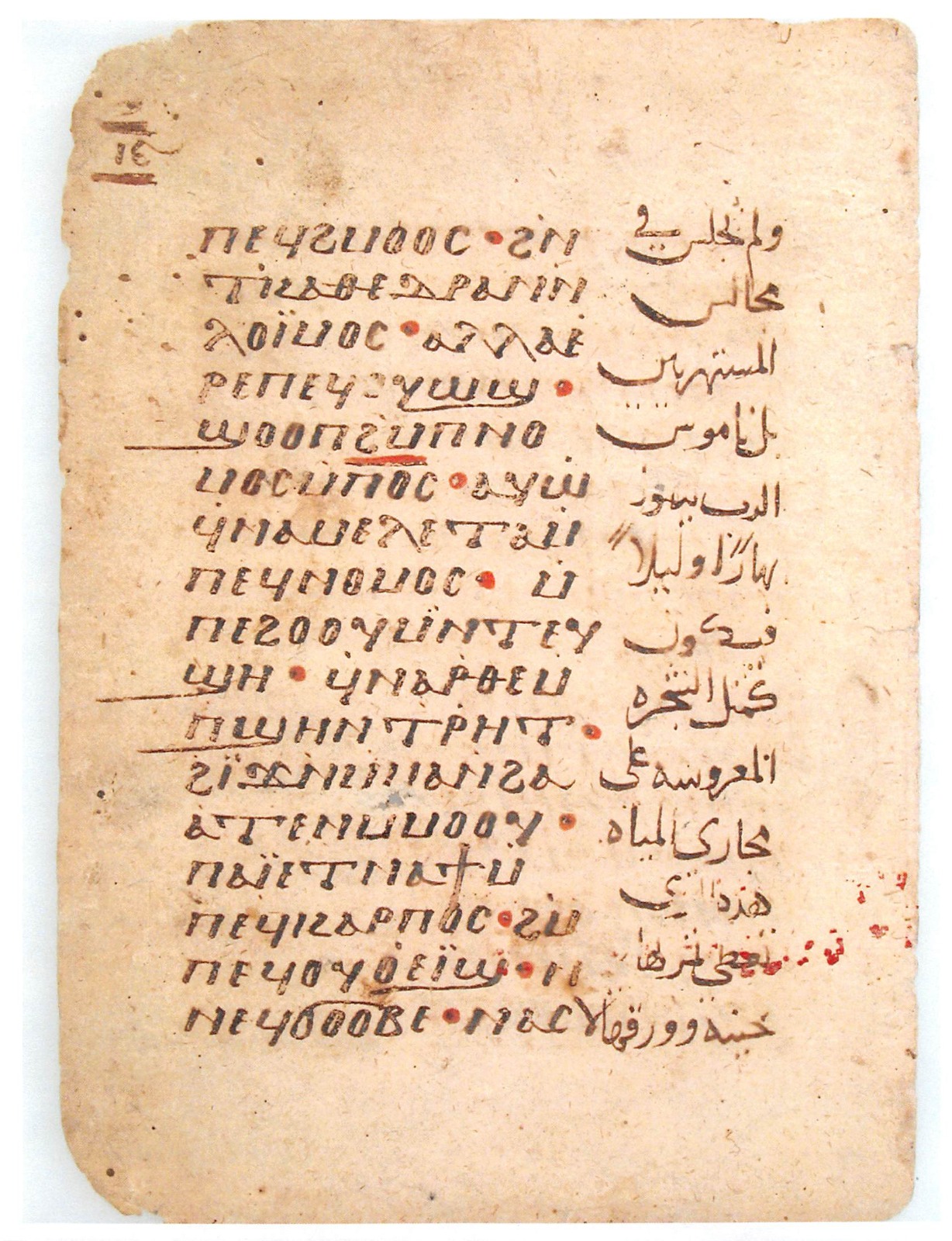 WhatsApp Image 2025-11-06 at 2.05.07 PM