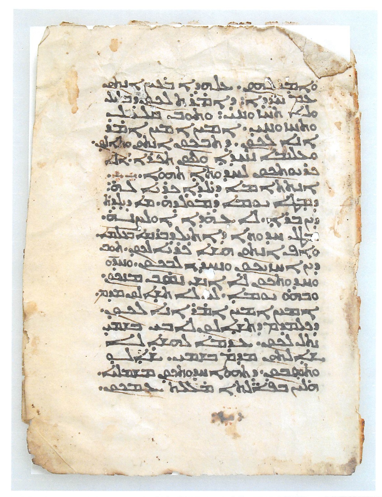 WhatsApp Image 2025-11-06 at 2.05.04 PM (3)