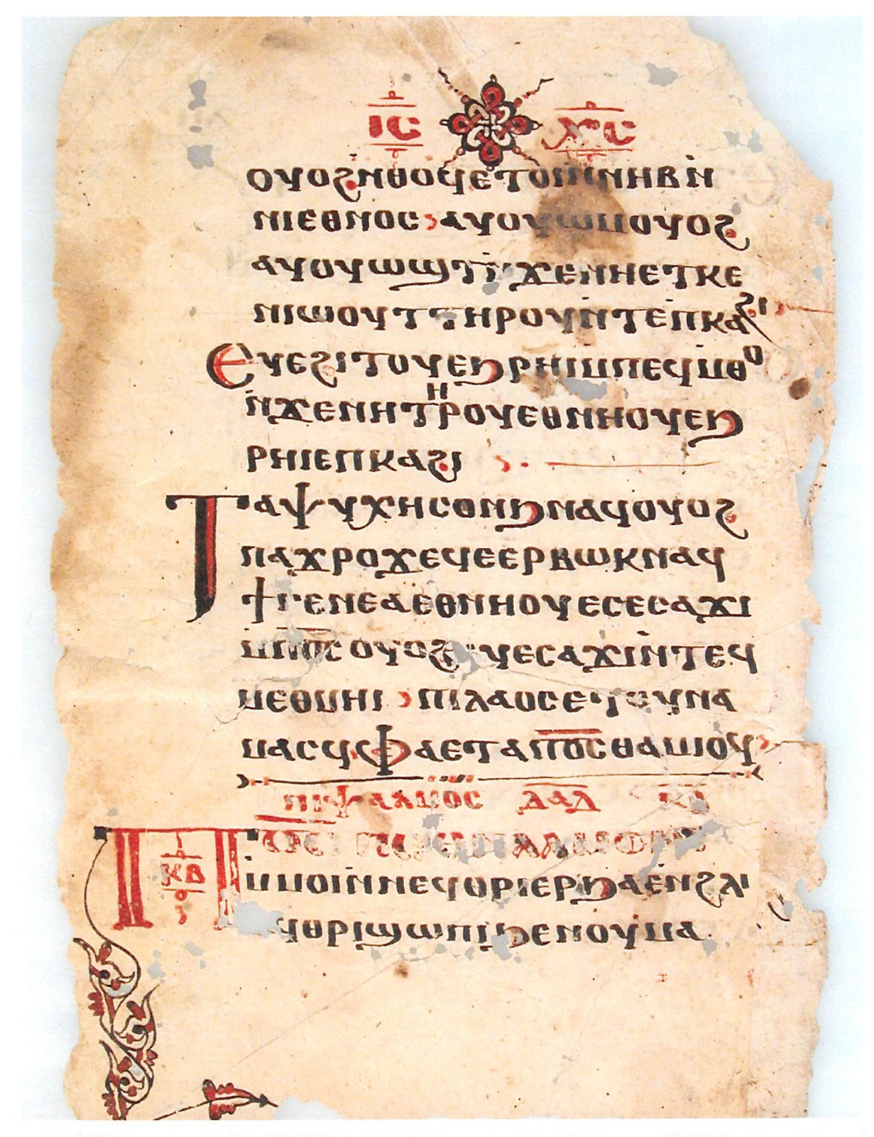 WhatsApp Image 2025-11-06 at 2.05.06 PM (1)