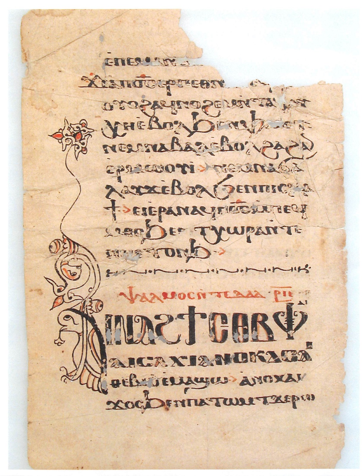 WhatsApp Image 2025-11-06 at 2.05.04 PM (2)