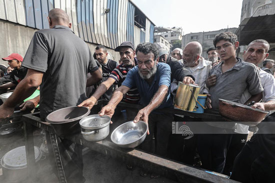 محاولات الحصول على طعام