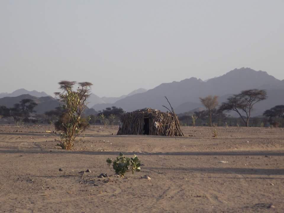يقدم الحليب للضيوف بمجرد وصولهم يقدم الحليب للضيوف بمجرد وصولهم