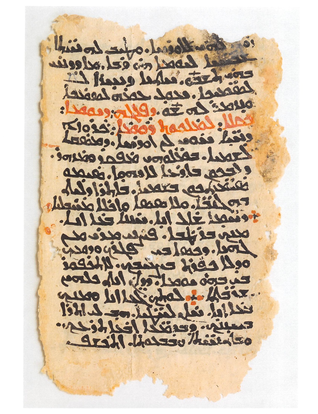 WhatsApp Image 2025-11-06 at 2.05.04 PM (1)