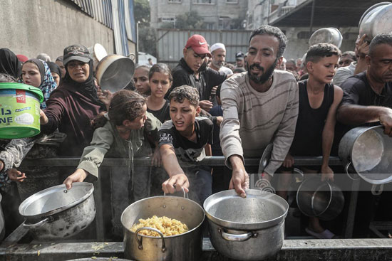 توزيع حساء العدس