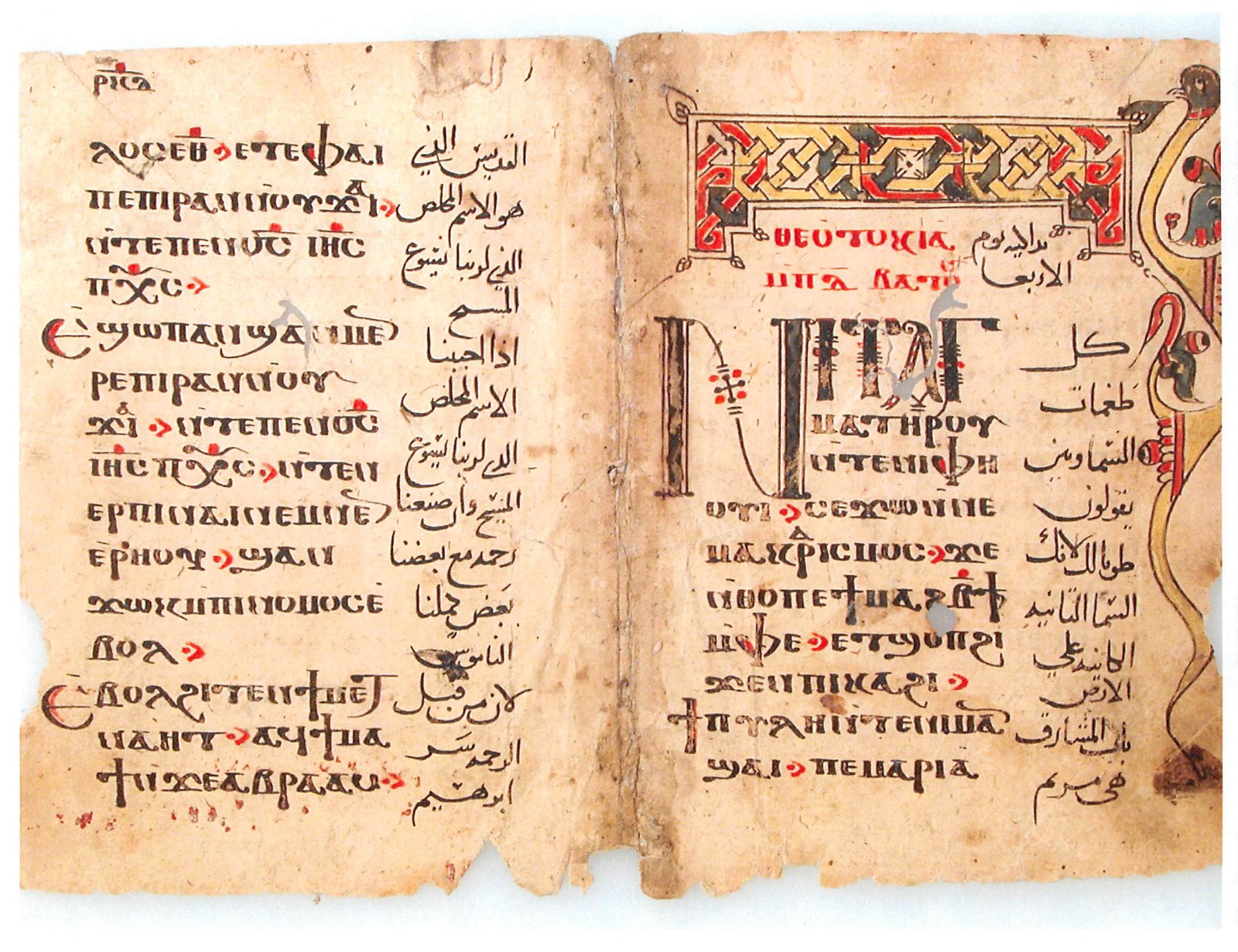 WhatsApp Image 2025-11-06 at 2.05.07 PM (1)