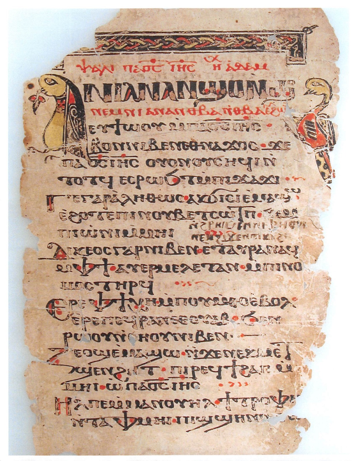 WhatsApp Image 2025-11-06 at 2.05.06 PM WhatsApp Image 2025-11-06 at 2.05.06 PM