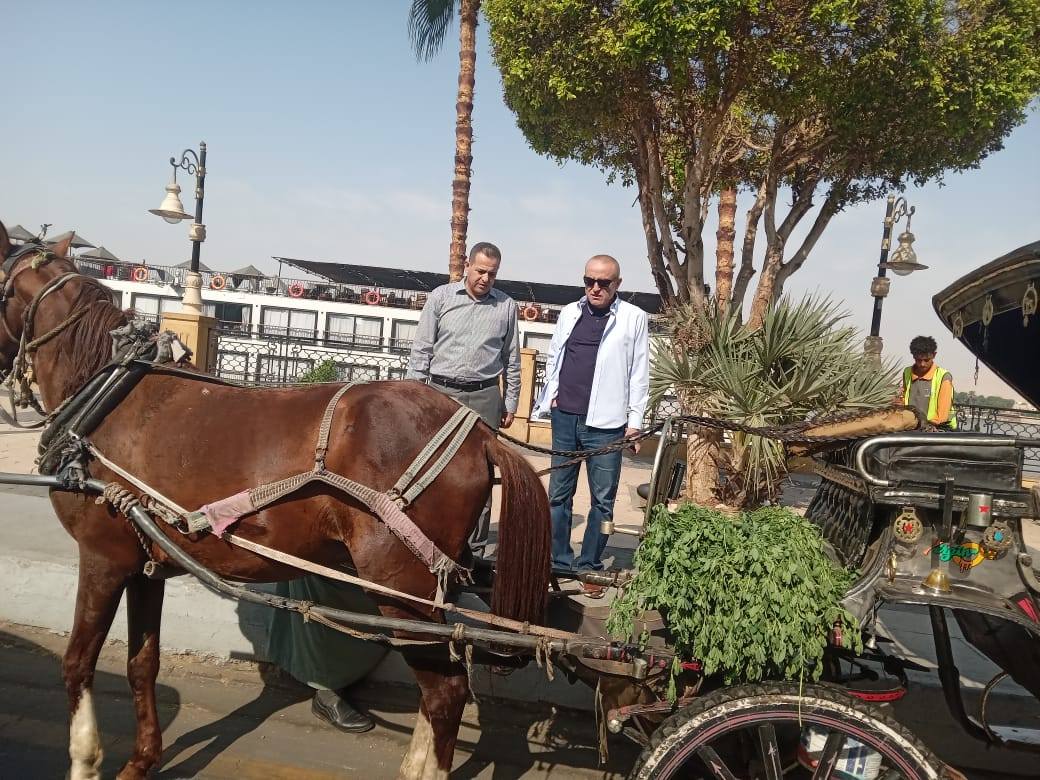 محافظ الأقصر يتابع الإلتزام بالنظافة وطريق المسار السياحى