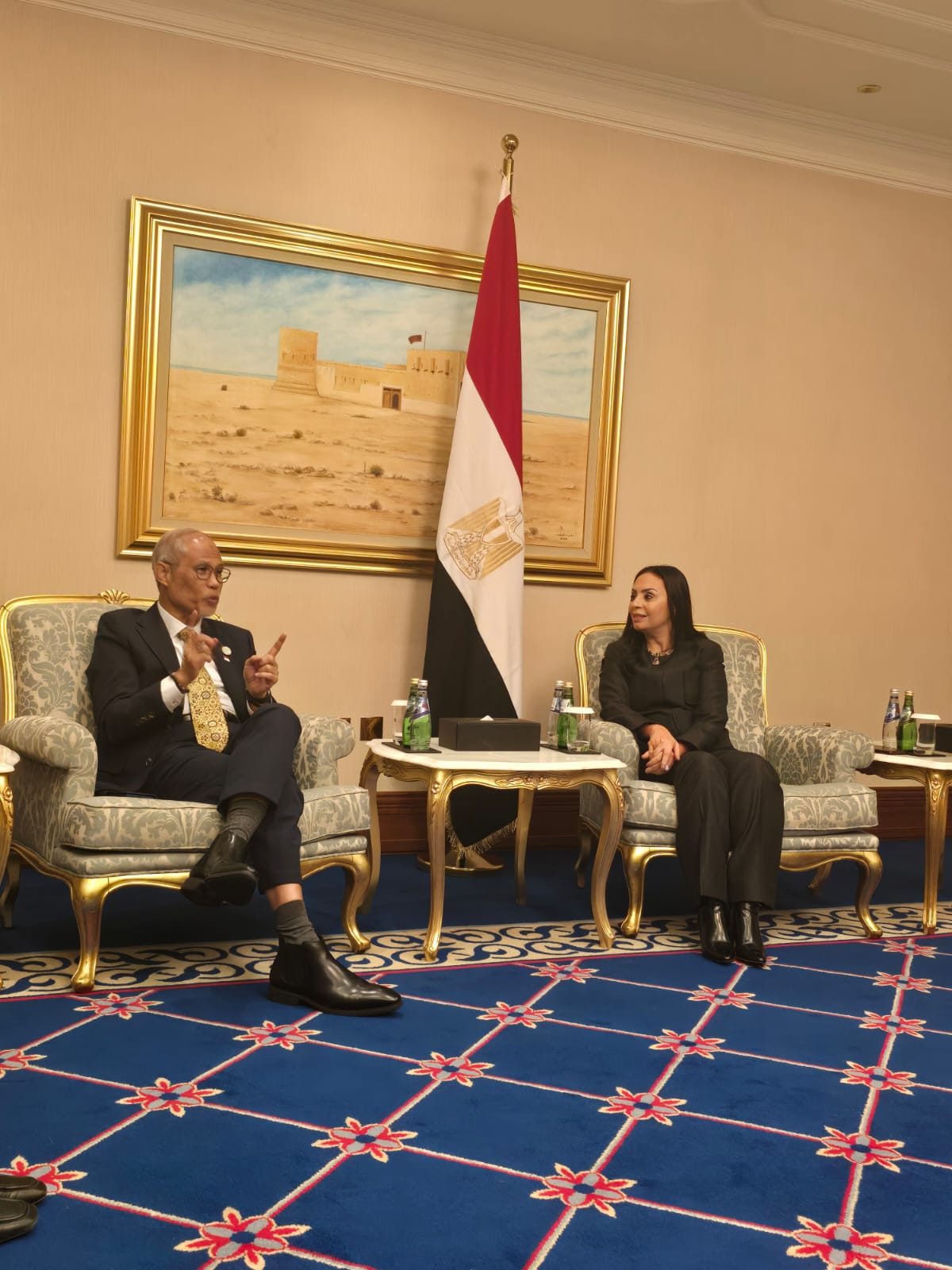 الدكتورة مايا مرسي مع وزير الأسرة والتنمية الاجتماعية بسنغافورة الدكتورة مايا مرسي مع وزير الأسرة والتنمية الاجتماعية بسنغافورة