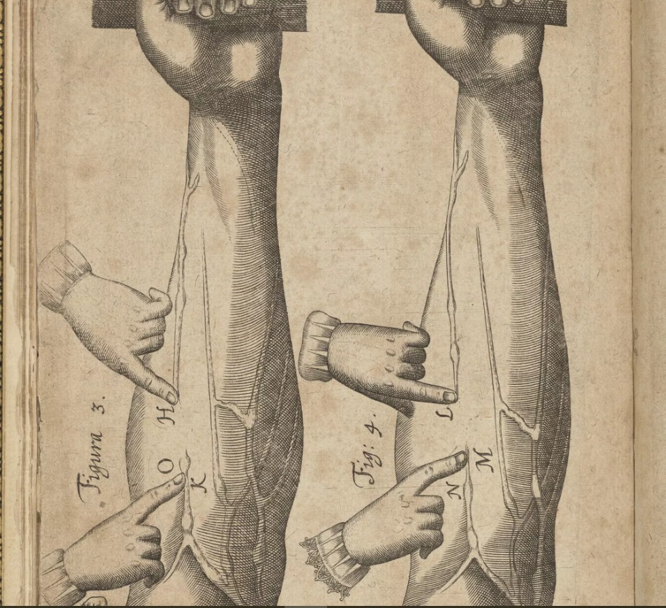 كتاب ويليام هارفي