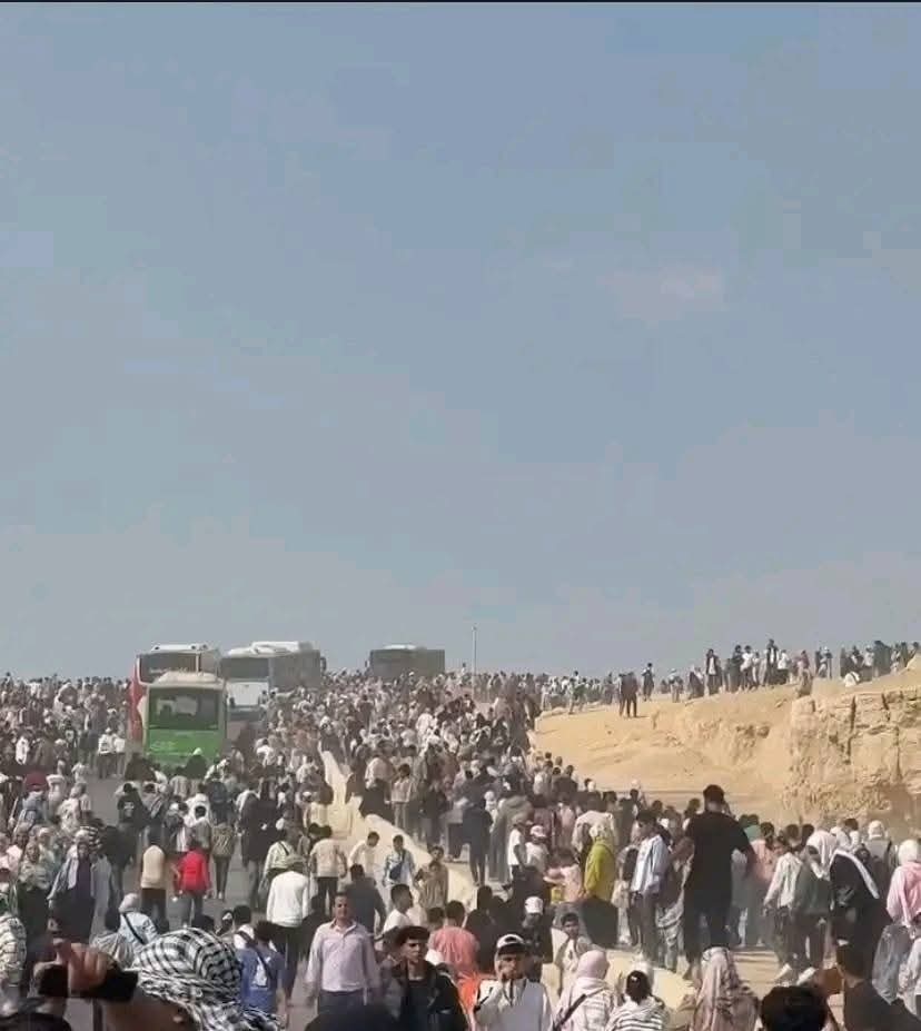 الآلاف فى محيط الأهرامات  (4)