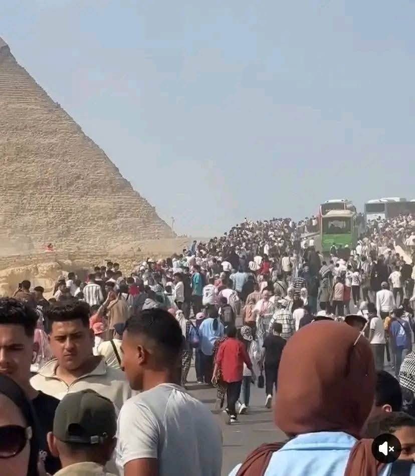 الآلاف فى محيط الأهرامات  (3)