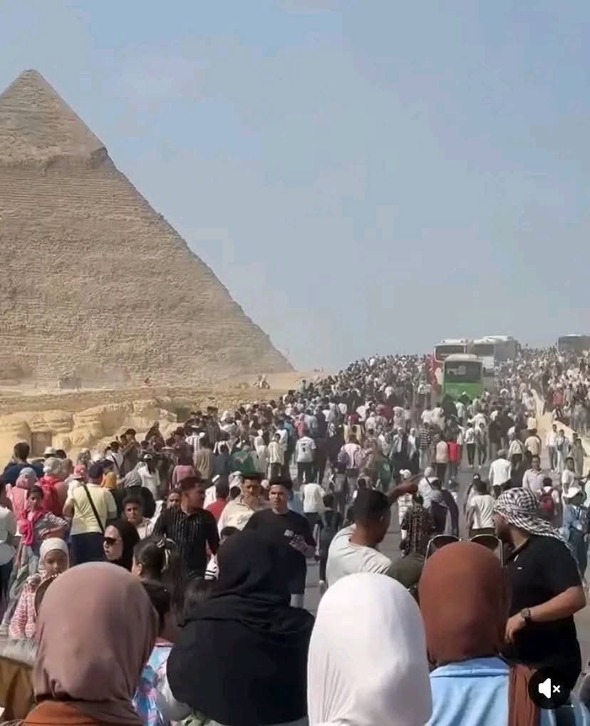 الآلاف فى محيط الأهرامات  (2)