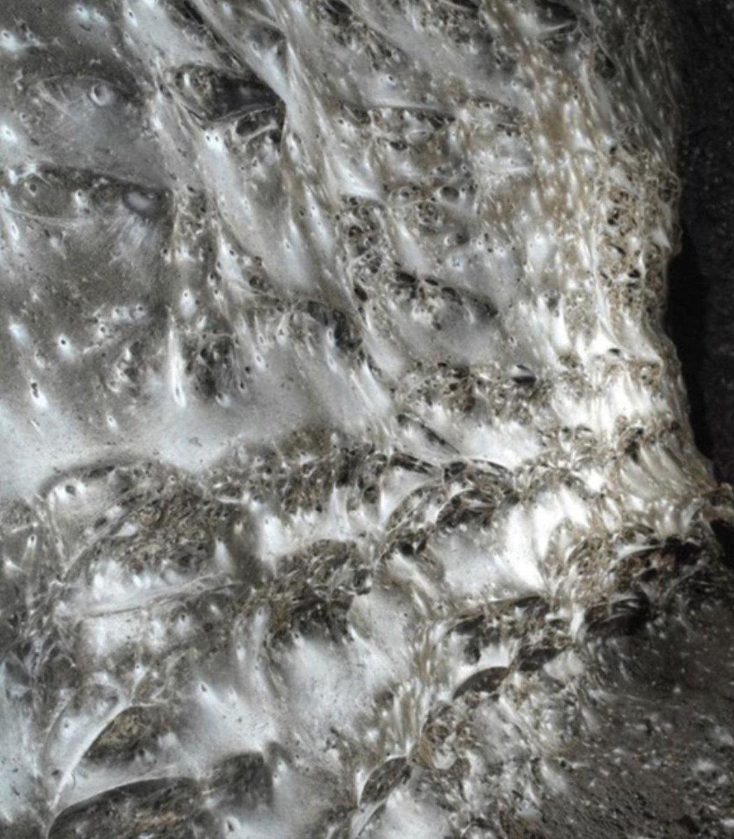 أكبر شبكة عنكبوت فى العالم أكبر شبكة عنكبوت فى العالم