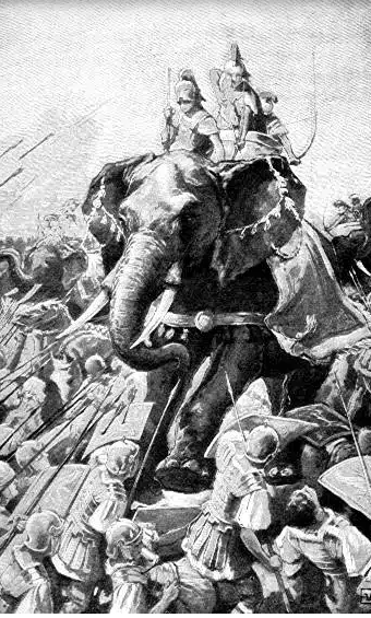 الافيال الافيال