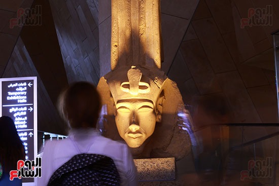 لحظة صمت في حضرة رأس إخناتون