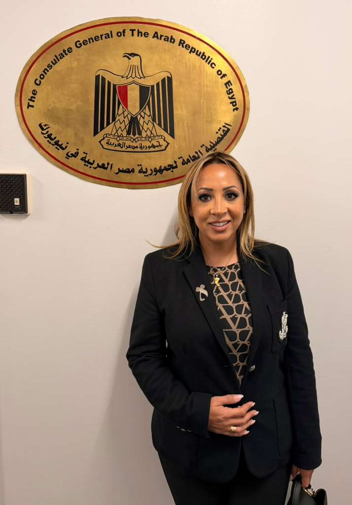 المصريون فى نيويورك