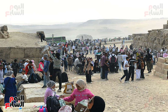 رحلة المصريين للهرم