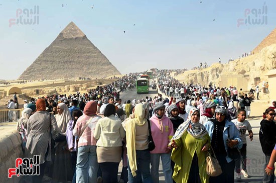 أفواج من المصريين صوب المتحف الكبير