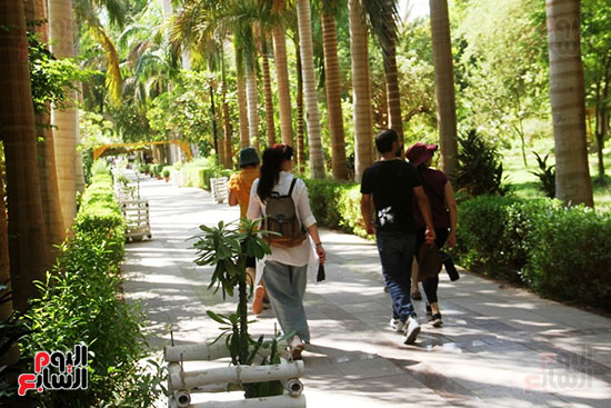 الوفود-الأجنبية-الزائرة