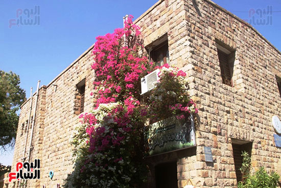 المتحف-النباتى