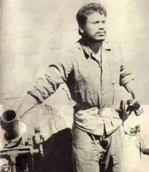 محمود الجيزى (1)