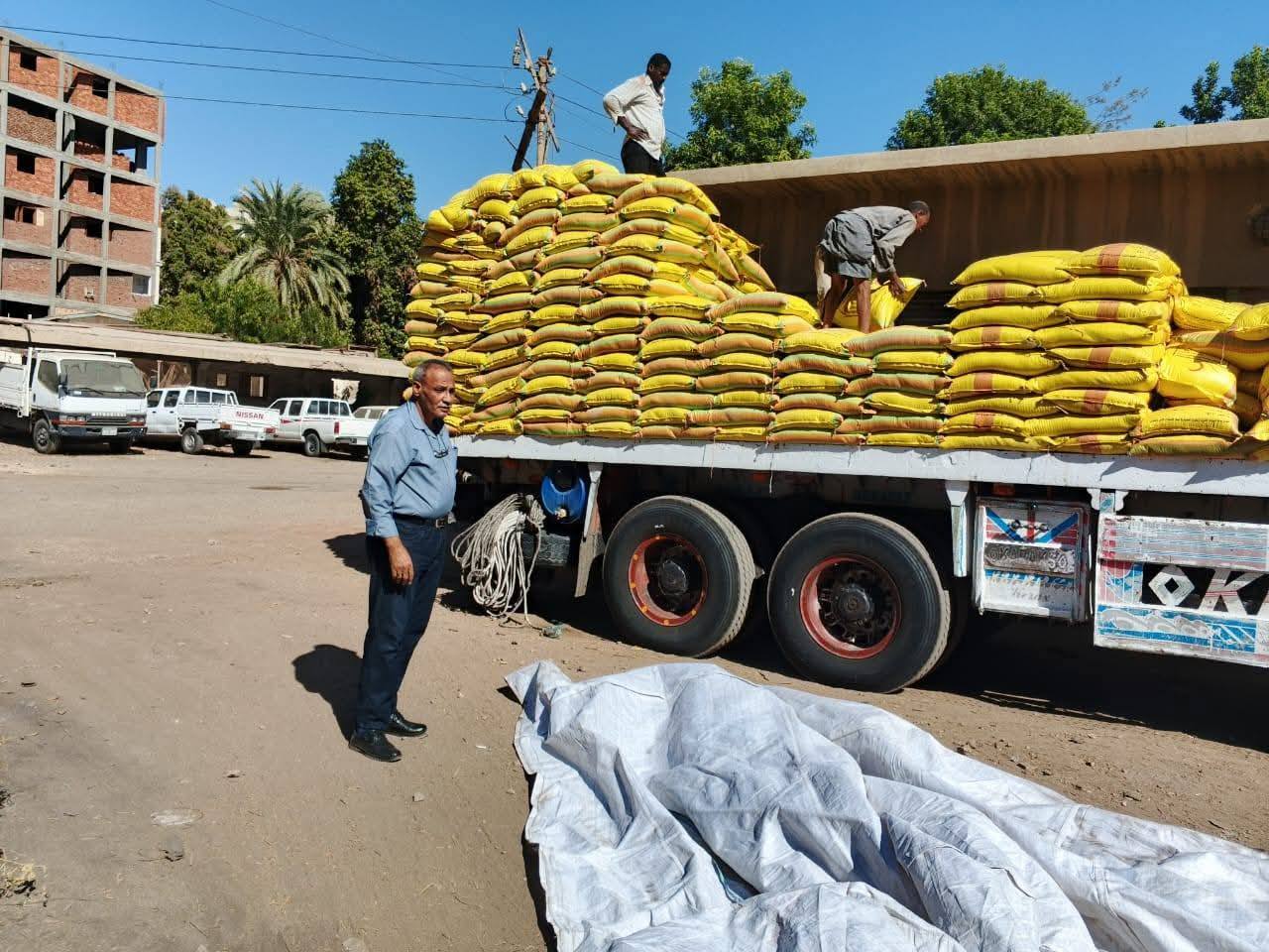 مرور دورى لإدارة الإرشاد الزراعى لدعم المزارعين بالتوصيات الفنية مرور دورى لإدارة الإرشاد الزراعى لدعم المزارعين بالتوصيات الفنية