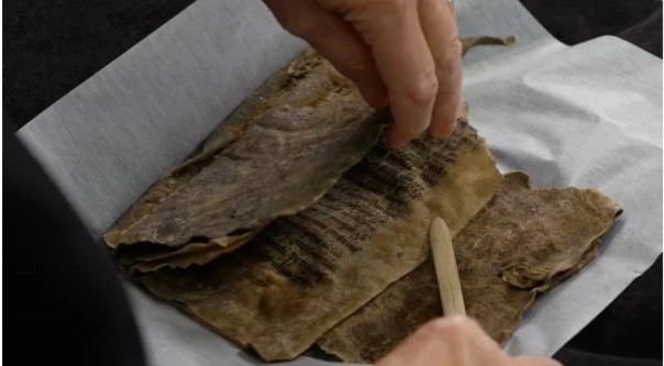 مخطوطة من العصور الوسطى مخطوطة من العصور الوسطى