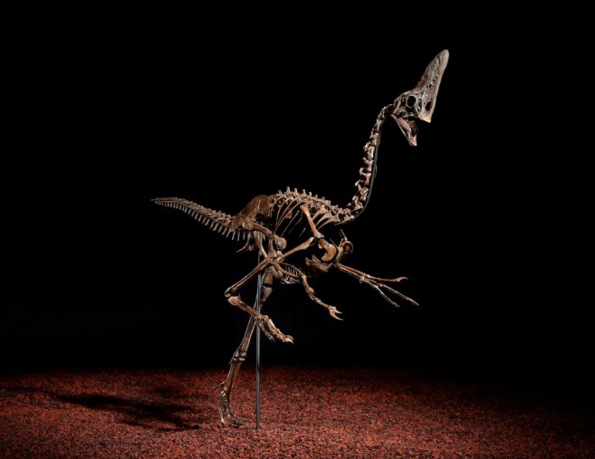 ديناصور سبايك