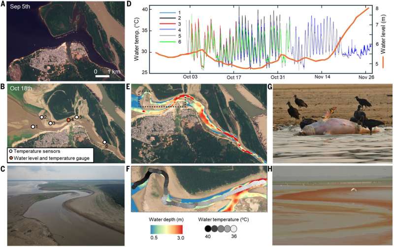 بحيرات الأمازون بحيرات الأمازون
