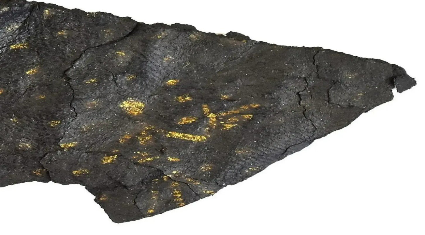 حذاء فاخر بزخارف ذهبية