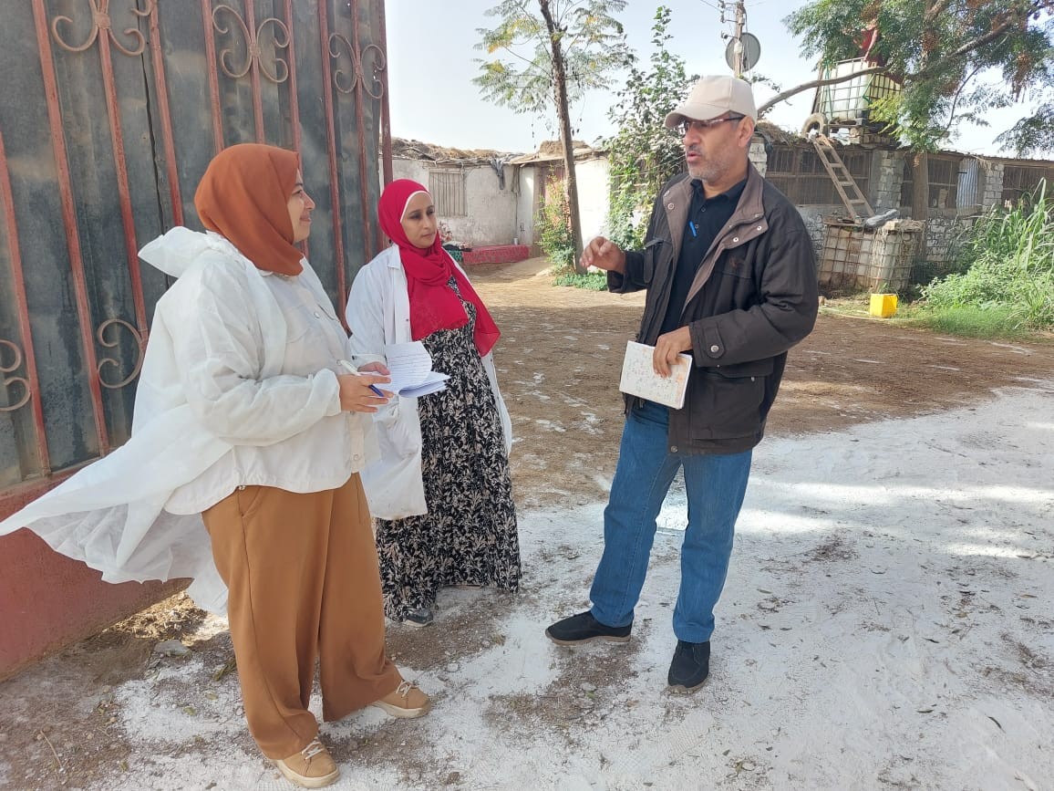 تطبيق الأمن الحيوي بمزارع الجواجن بالقليوبية