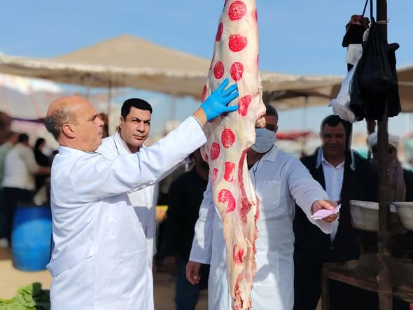 أثناء الكشف على اللحوم