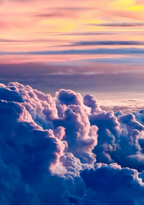 أثناء احدى الرحلات أثناء احدى الرحلات